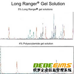 Lonza測序及突變檢測產(chǎn)品